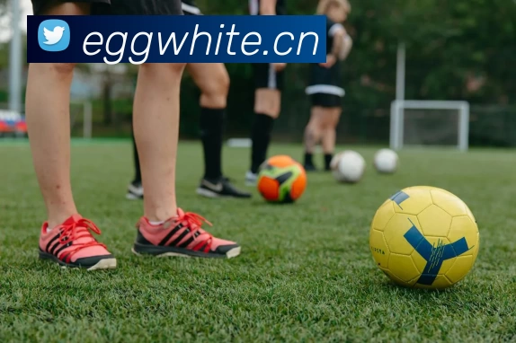 玩滚球的安全平台app官网平台生态图